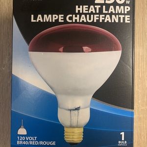 250 heat lamp